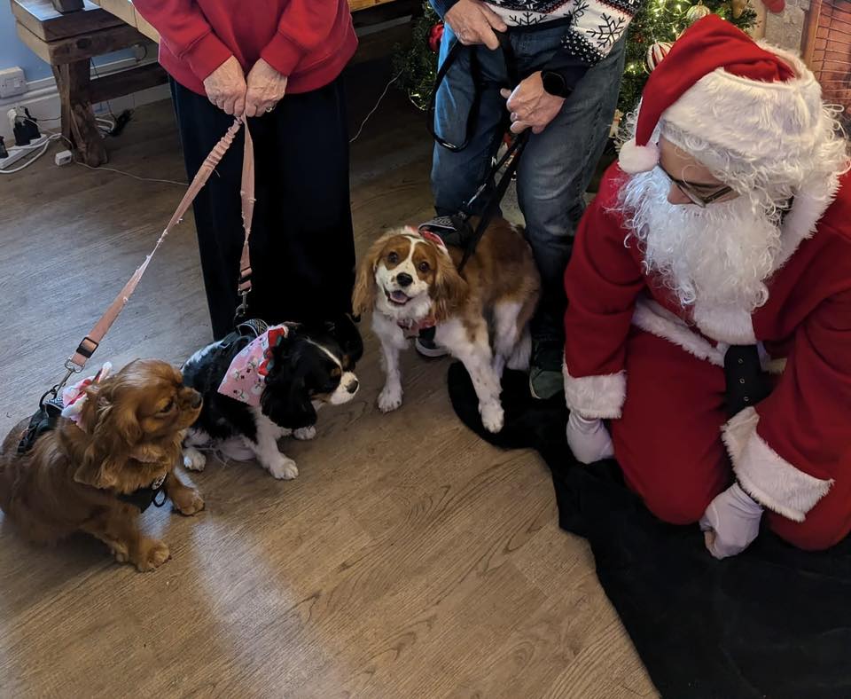 Dog at Penny's House cafe