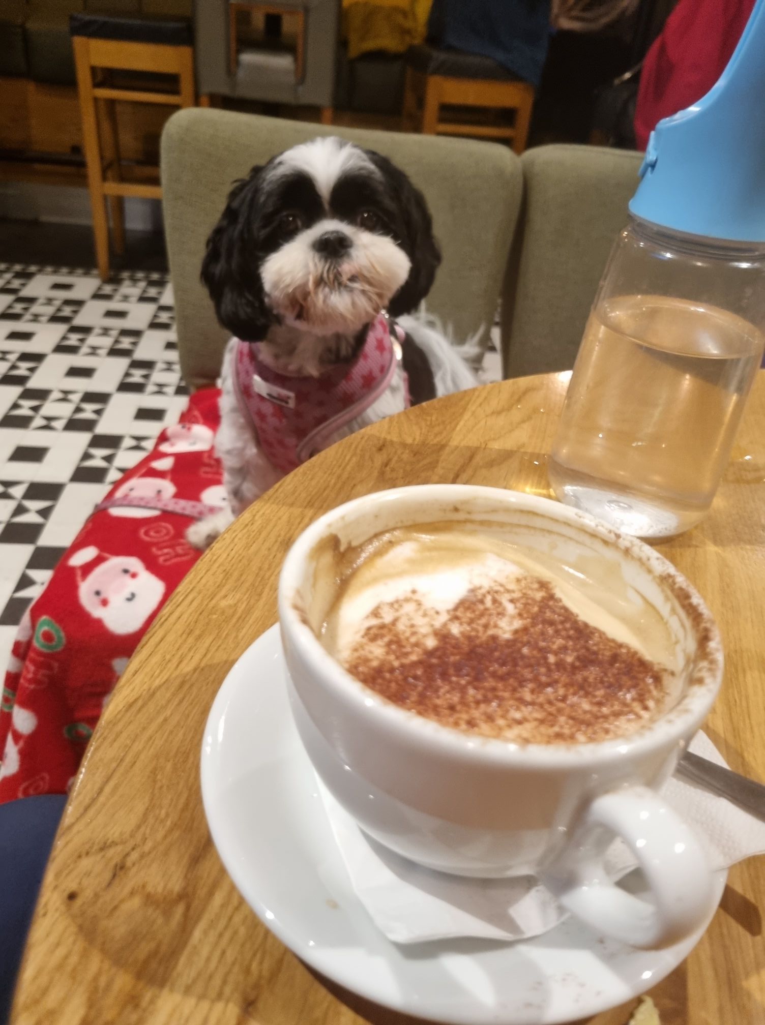 Rosie at Woodwards Winebar